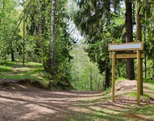 В Алтайском крае появится музей леса