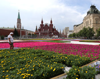 На Красной площади раскинулся цветочный ковёр 