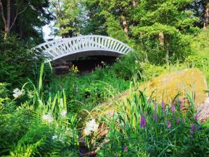 Центральный парк Тулы оформляют по образцу московских