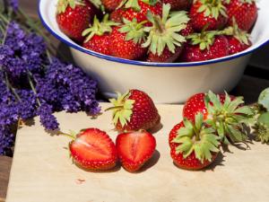 Финны соберут урожай на вокзале