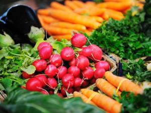 Рынки России проверят на коррупцию и бандитизм