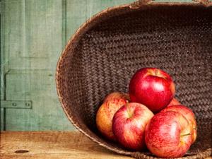 В Ботаническом саду раздают яблоки