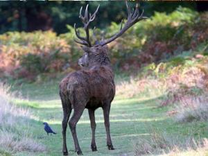 Самому большому городскому парку Европы — 30 лет!