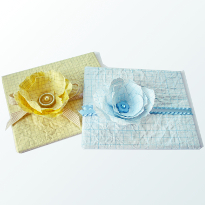 упаковка диска, школа, день учителя