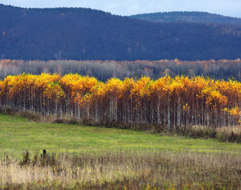 В Ульяновской области появится первый национальный парк 