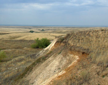 В Ульяновской области появится заказник типичной природы тех мест 