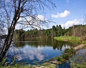 В Смоленском Поозерье открылась островная тропа