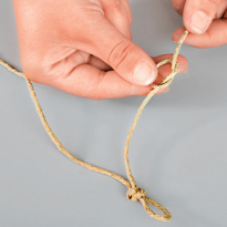 попугай, игрушка