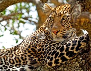 Главным брендами Приморья стали природные памятники