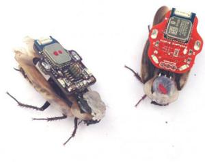 Тараканами можно управлять со смартфона
