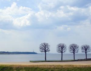 Финский залив взяли под охрану