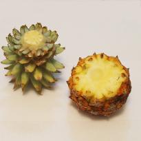 Ананас: как укоренить черенок