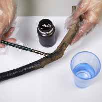 хэллоуин, летучая мышь