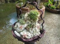 Путешествие в Таиланд: страна тысячи улыбок