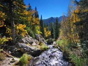 В начале 2014 года в Забайкалье появится национальный парк Чикой