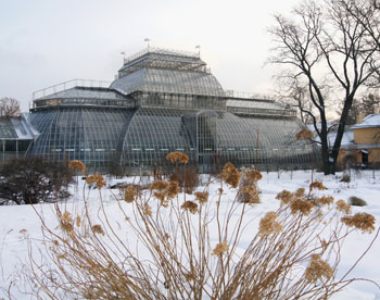 Помочь возродить Ботанический сад Петербурга может каждый 