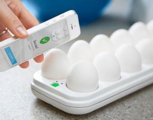 За состоянием яиц можно следить, будучи на работе