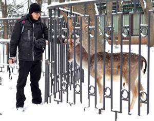 Романы и Юлии попадут в зоопарк без денег