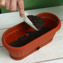 заполнение контейнера грунтом