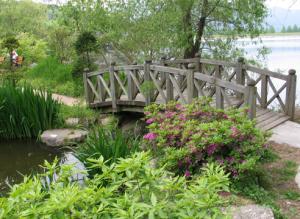 Сады Кореи: что посетить