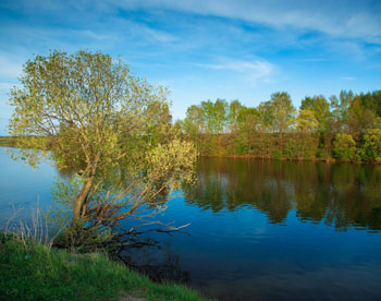 В Рязани появится Солотчинский природный парк 