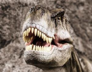 Парк динозавров открылся в Новосибирске