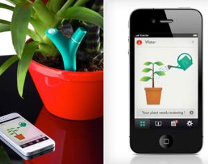 Выпущен гаджет, который позаботится о домашних растениях