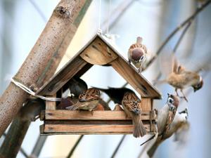 Парк Горького нужно разгружать