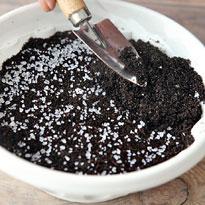 Пасхальная полянка из молодой травы