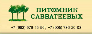 САВВАТЕЕВЫХ ПИТОМНИК 