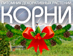 КОРНИ Питомник декоративных растений КОРНИ Питомник декоративных растений
