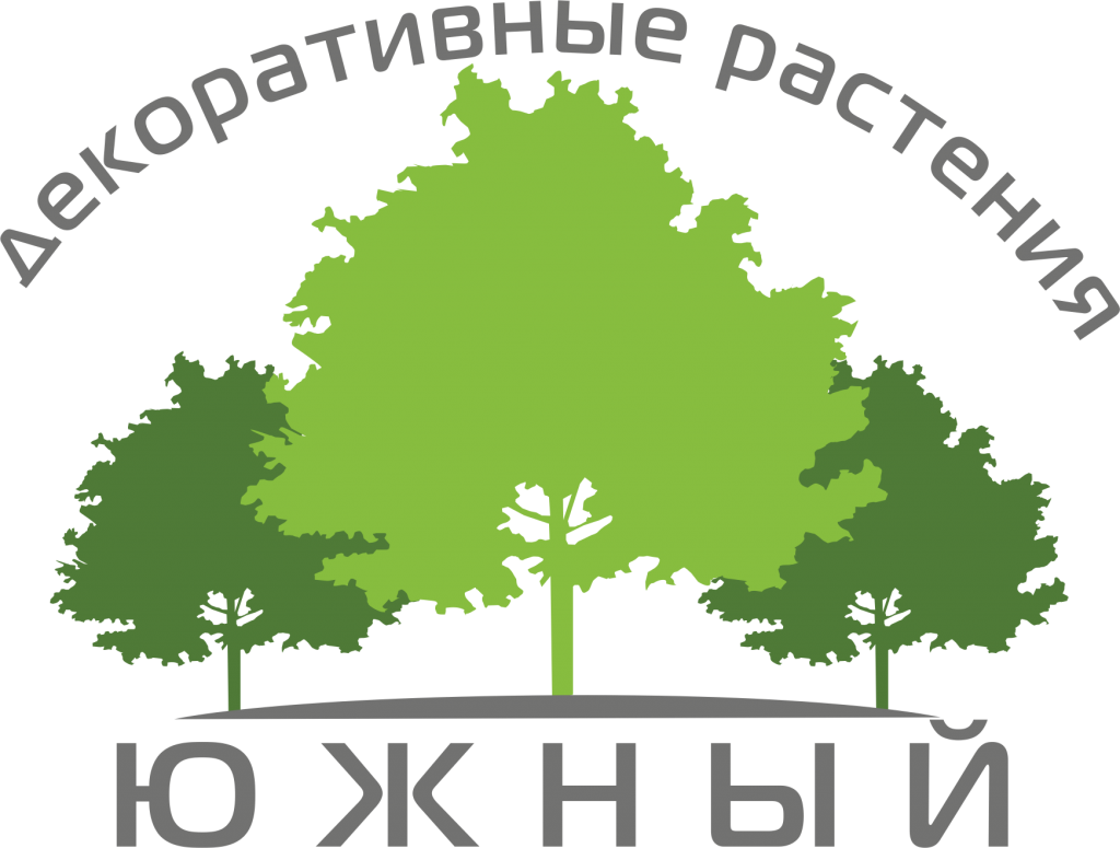 ЮЖНЫЙ Питомник декоративных культур ЮЖНЫЙ Питомник декоративных культур