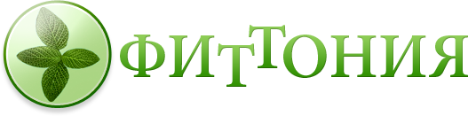 ФИТТОНИЯ Питомник ФИТТОНИЯ Питомник