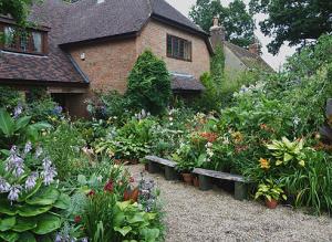 Сады Англии: коллекция хост