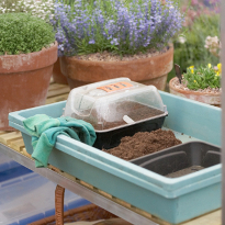 Контейнер для рассады