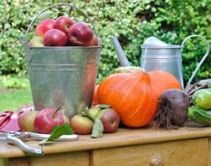 40% российской еды — с дачных участков