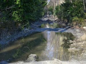 Дорогу к дендрологическому парку в Сочи превратили в свалку