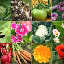 посев в апреле