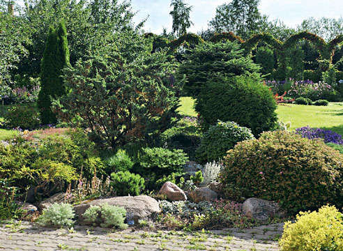 Сад Марины Шиманской