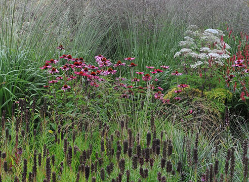 Trentham Gardens, сады Трентхэм