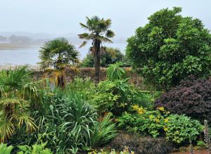 Сад экзотических растений в Шотландии