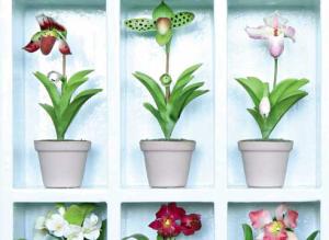 Болезни и вредители орхидей