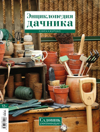 энциклопедия дачника энциклопедия дачника