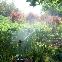 Лунный посевной календарь на 2015 год