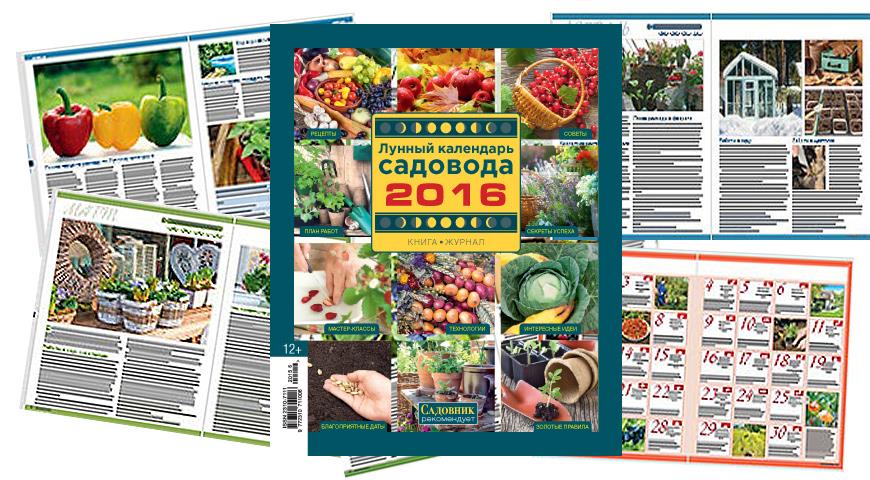 анонс