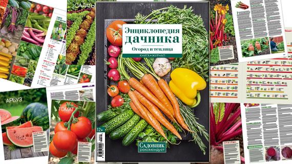 Книга-журнал "Энциклопедия дачника. Огород и теплица" 2016 (9)