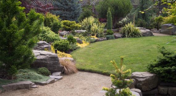 Почвопокровные многолетники: что посадить в тени