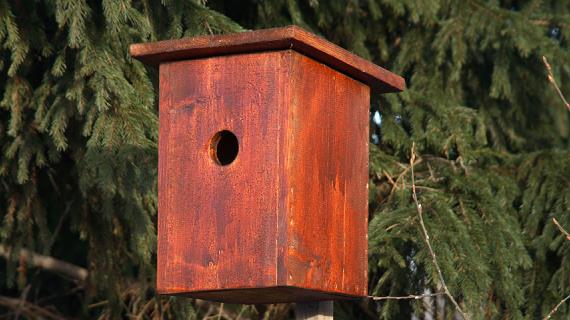 Скворечник