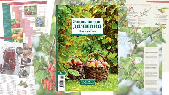 Книга-журнал "Энциклопедия дачника. Плодовый сад" 2016 (10)