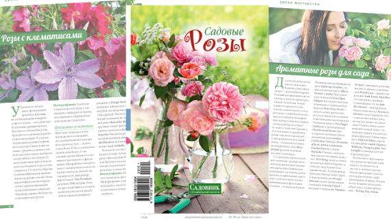 Специальный выпуск №1/2016 "Садовые розы"